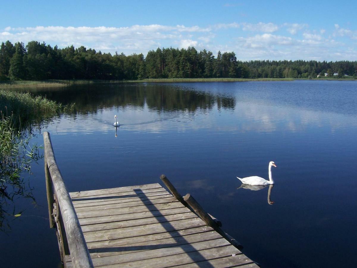 Domwigierski Pl -Jeziorki -Gr- Comfort-Ferienhaus-Polen - Wlasna Linia Brzegowa I Sauna Wysoki Most  Eksteriør billede